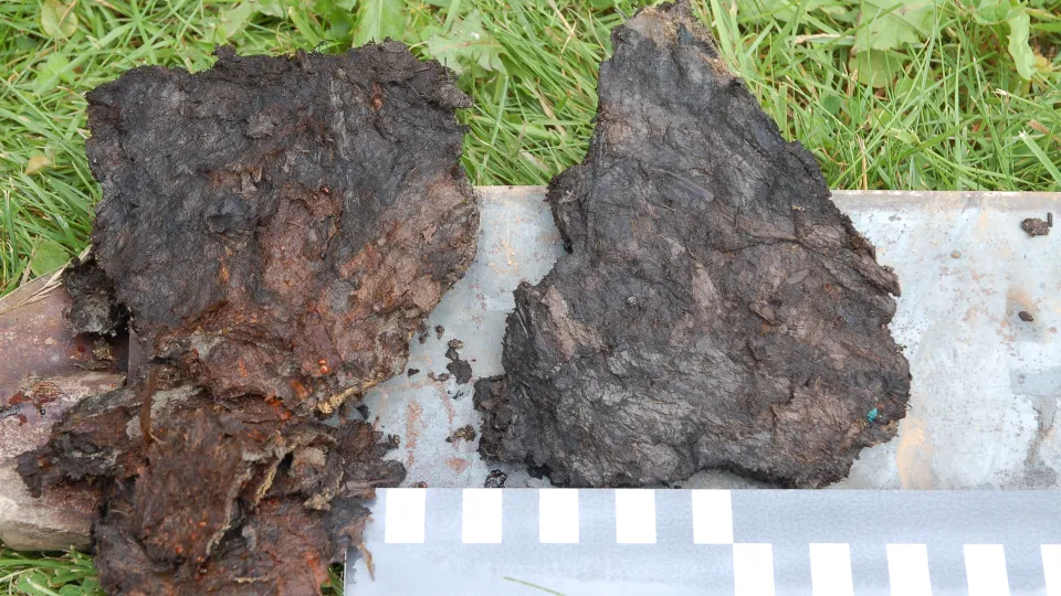 organiska sediment